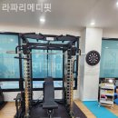 라파리메디핏 이미지
