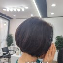 망고헤어스토리