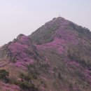 영취산민박