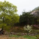 시실리민박 이미지