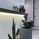 발산정형외과의원 이미지