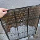 월드컵로 | 마포구 월드컵로 FRED COFFEE HAUS 삼성 4웨이 에어컨 청소 후기 (비시즌 특가 진행중)