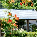 학암경로당 이미지