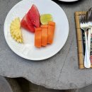 첫번째집 | 발리 한달 살이_사누르 첫번째 집, airbnb ‘KUBU BEDEG sanur’