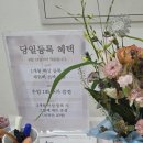 포항 초곡 폴댄스 스튜디오 '폴앤무드' 후기