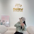 하이멍냥 강아지분양 고양이분양 서울본점 | [강동] 고덕동 강아지 분양 고양이분양 귀여운냥이들 모여있는 곳 "하이멍냥" 다녀온 찐후기