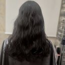 상봉초교 | 뿌리부터 달라지는 텐션! 토리헤어에서 인생 머리 찾은 썰 푼다