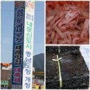 `광천새우젓 재래맛김 축제`에 초대합니다. 이미지