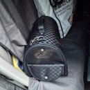 신림동-2 | ## 🚗 2/21 고양이 단독 이동 후기 – 강동구 ➝ 신림동