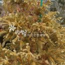 화백농장 이미지