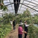 군청 민원과 이미지