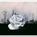 아크릴화 이미지