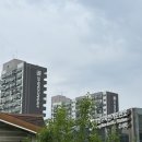 동아아파트여자 경로당 | 수서역 신동아아파트 임장 기록