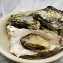 어촌식당 이미지