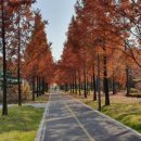 하나로누가약국 이미지