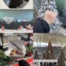 강변대로 | 부산 가볼만한 곳 | 영화의 전당 산타마을 크리스마스 빌리지 주말 후기