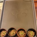 대구가든 | 대구 퀸벨호텔 브리에가든홀 하객후기 (뷔페, 주차, ATM)