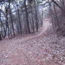 안용주골 이미지