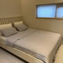 우연 한동 이미지