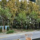 호피덕 | (양재천/카페거리) 맥주 맛집 호피덕 세번째 리뷰 내돈내산 후기