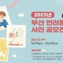 350039 Daum카페