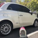 로하스동물병원 이미지