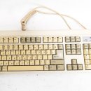 세진모드 이미지