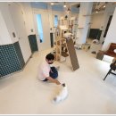 아이조아 캣파크 서울점 이미지