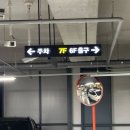 담우스테이 애월 | 반려동물 동반 제주여행 Day1 (코스 추천, 내돈내산)