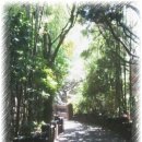 훼미리타운 이미지