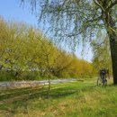 도심속의 평화 이미지