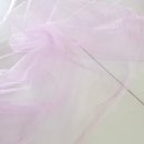 파스텔A 이미지