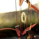 좋은인연 이미지