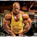 올림피아 이미지