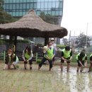 김동주농장 이미지