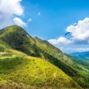 통신나라 이미지