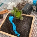 방아다리경로당 | 대학생 단체원예체험-그림정원만들기