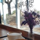 사이비 봄 망우산 카페에서 이미지