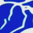 하얀렌트카(주) 이미지