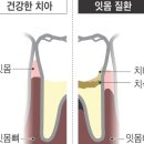 신테크치과기공소 이미지