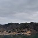 춘구농장 Daum카페