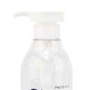 파코메리 이미지