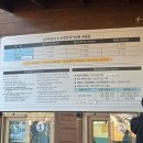 순천만국가정원 생태체험장 화장실 | 순천만 습지 갈대밭 11월 중순 방문 후기(용산전망대)