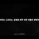 올림픽수영장 이미지