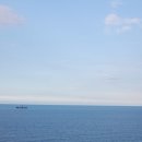 안녕동해야 이미지