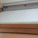 용호유치원 이미지