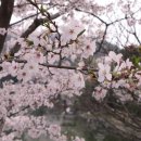 청평수산 이미지