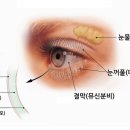 세오스몰