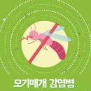 질병관리본부 Daum카페