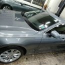 키다리광택 이미지